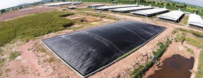 Hướng dẫn thi công bạt nhựa HDPE phủ hầm Biogas đúng cách