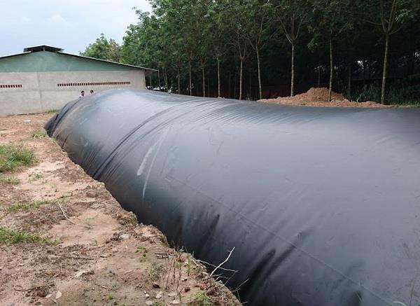 Hướng dẫn thi công bạt nhựa HDPE phủ hầm Biogas đúng cách